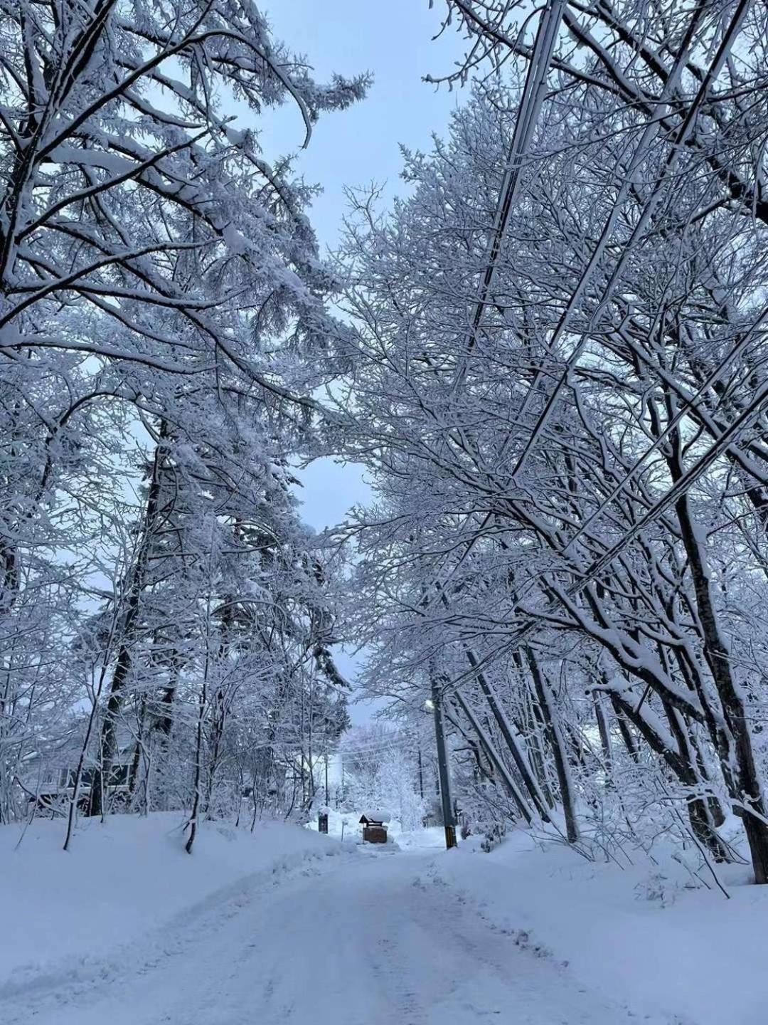 Natural Hot Spring Hakuba Symphony Екстер'єр фото