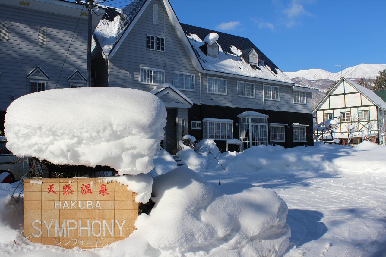 Natural Hot Spring Hakuba Symphony Екстер'єр фото